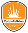 Pedale Feltrino